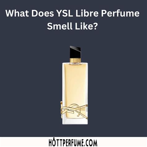 ysl y perfume review|what does YSL smell like.